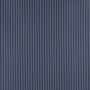 4371 Dresden Stripe by Charlotte Fabric