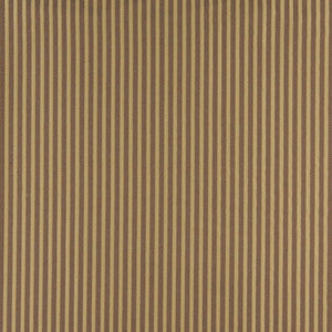 4372 Harvest Stripe by Charlotte Fabric