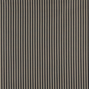 4376 Cobalt Stripe by Charlotte Fabric