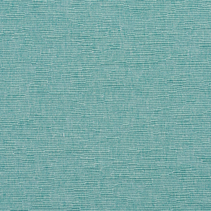 4401 Lagoon by Charlotte Fabric Multipurpose Jacquards 59% Cotton, 41% Polyester Taiwan Exceeds 200,000 Wyzenbeek Rubs (Heavy Duty) No Repeat 54 Inches - Fabric Carolina -