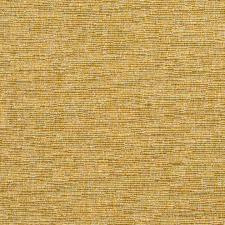4403 Citrine by Charlotte Designer Fabric Multipurpose Jacquards 59% Cotton, 41% Polyester Taiwan Exceeds 200,000 Wyzenbeek Rubs (Heavy Duty) No Repeat 54 Inches - Swanky Fabrics -