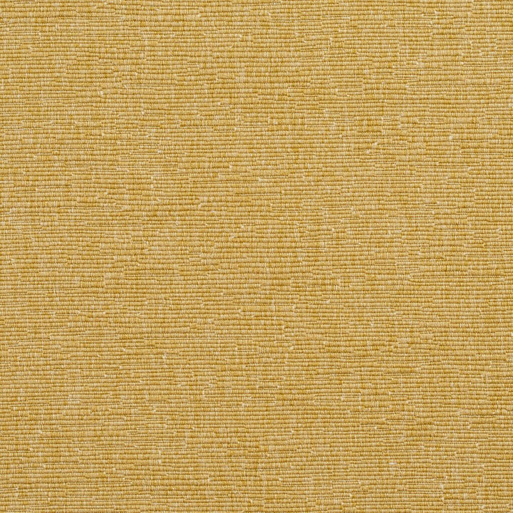 4403 Citrine by Charlotte Fabric Multipurpose Jacquards 59% Cotton, 41% Polyester Taiwan Exceeds 200,000 Wyzenbeek Rubs (Heavy Duty) No Repeat 54 Inches - Fabric Carolina -