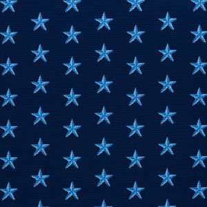 Star Pingl Blue 77421 by Schumacher Fabric