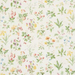 Floreana Berry 178791 by Schumacher Fabric