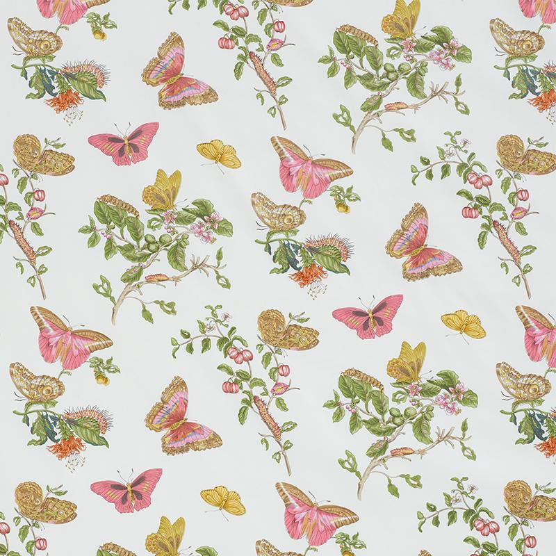 Baudin Butterfly Chintz Blush 178720 by Schumacher Fabric Schumacher Classics 27.38" - Fabric Carolina -
