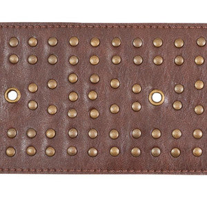 Studded Leather Brown 76091 by Schumacher Trim