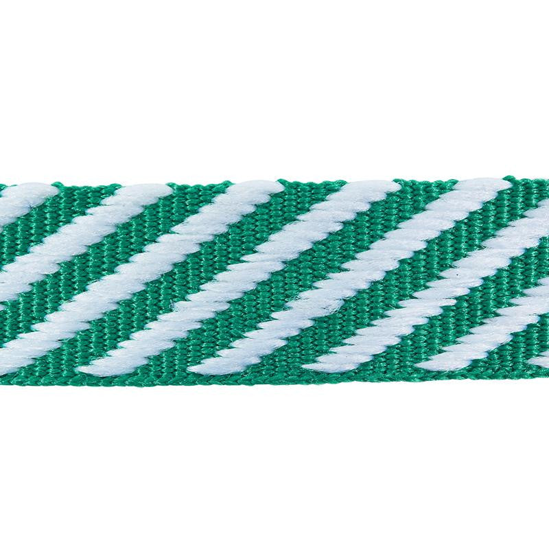 Twill Tape Emerald 76106 by Schumacher Designer Trim Club Cavalier - Swanky Fabrics -