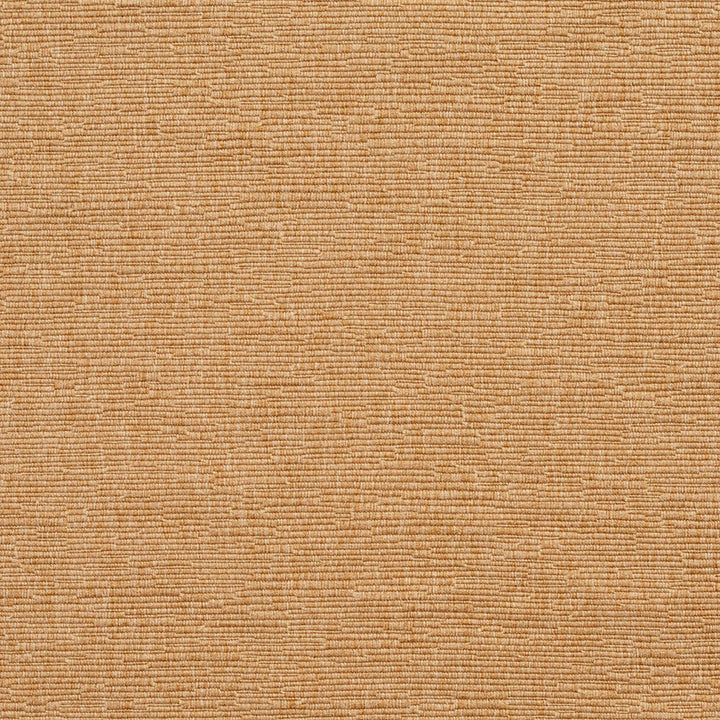 4404 Beach by Charlotte Fabric Multipurpose Jacquards 59% Cotton, 41% Polyester Taiwan Exceeds 200,000 Wyzenbeek Rubs (Heavy Duty) No Repeat 54 Inches - Fabric Carolina -