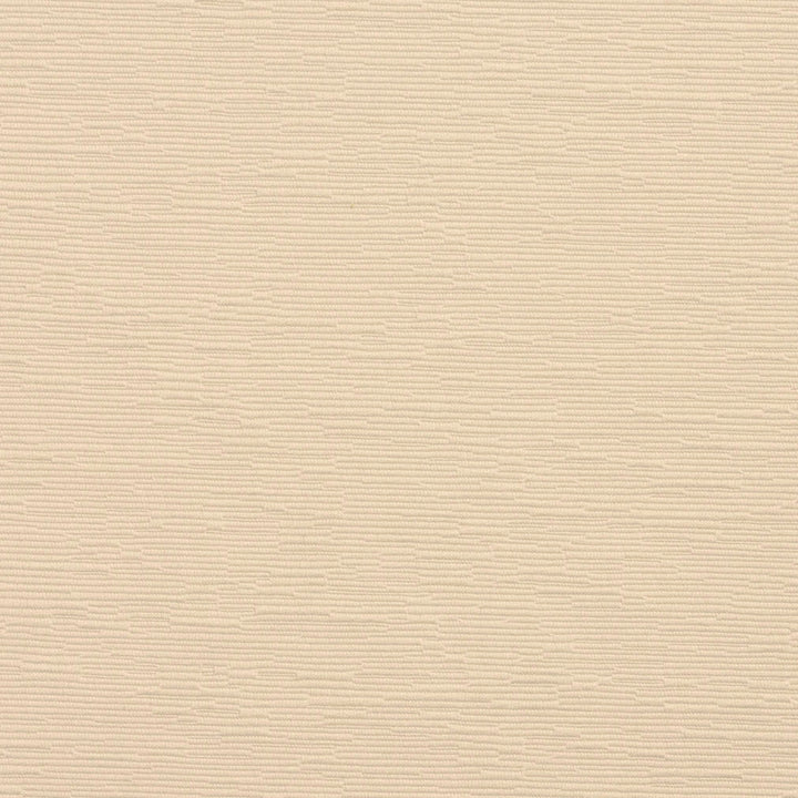 4407 Ivory by Charlotte Fabric Multipurpose Jacquards 59% Cotton, 41% Polyester Taiwan Exceeds 200,000 Wyzenbeek Rubs (Heavy Duty) No Repeat 54 Inches - Fabric Carolina -
