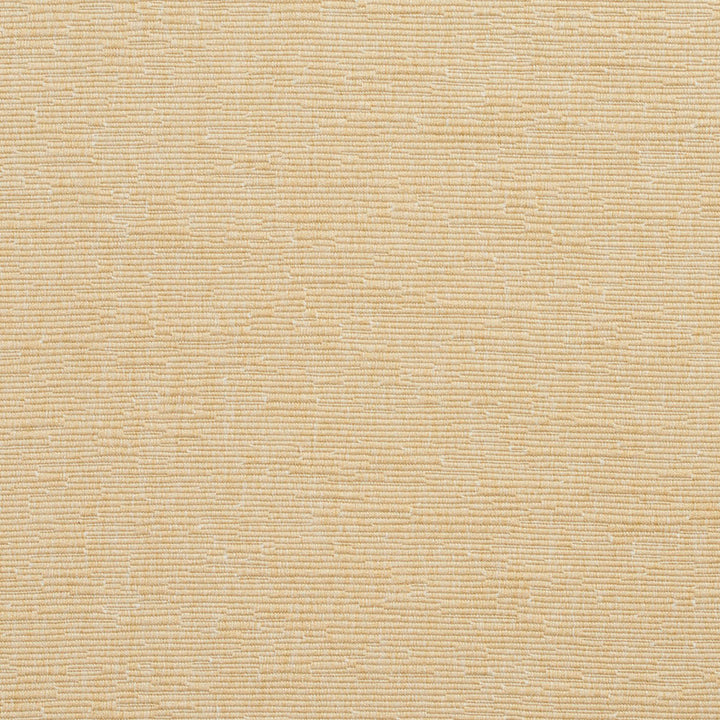 4409 Sandstone by Charlotte Fabric Multipurpose Jacquards 59% Cotton, 41% Polyester Taiwan Exceeds 60,000 Wyzenbeek Rubs (Heavy Duty) </p><p>Repeat: No Repeat 54 Inches - Fabric Carolina -