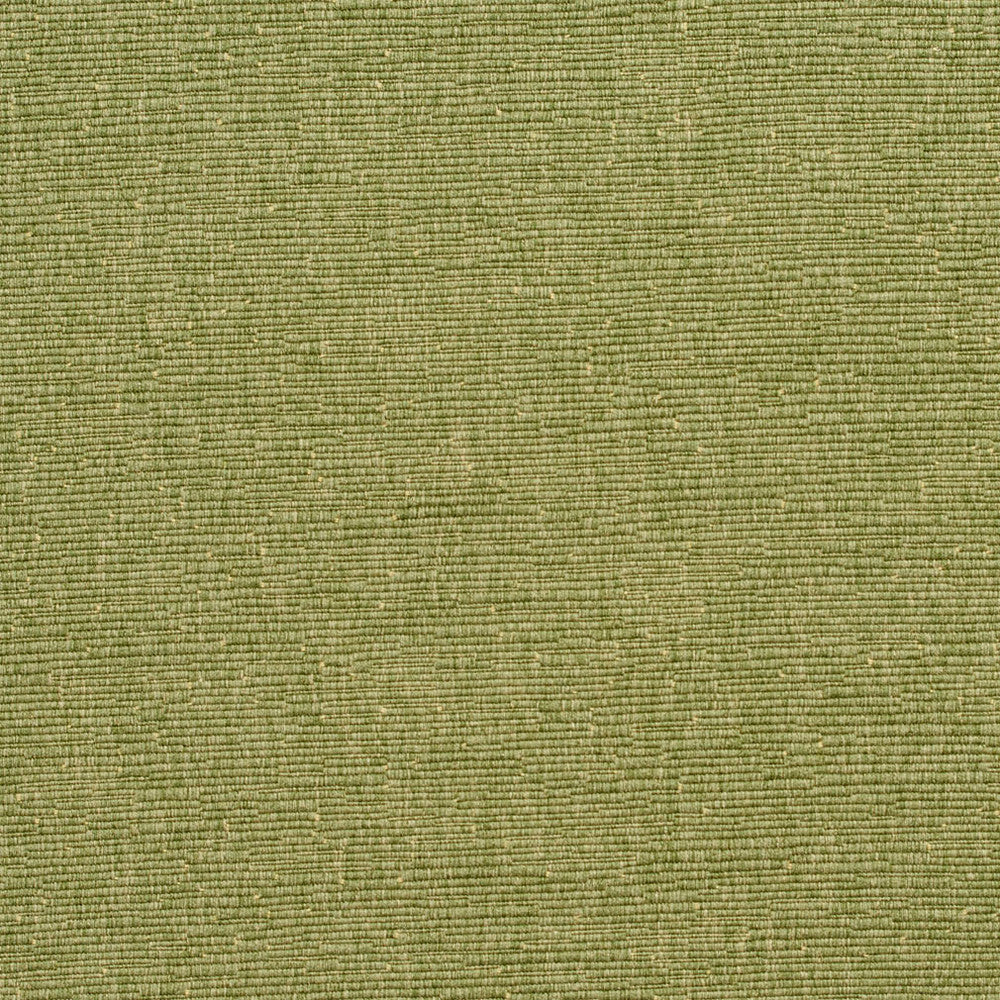 4410 Meadow by Charlotte Fabric Multipurpose Jacquards 59% Cotton, 41% Polyester Taiwan Exceeds 200,000 Wyzenbeek Rubs (Heavy Duty) No Repeat 54 Inches - Fabric Carolina -