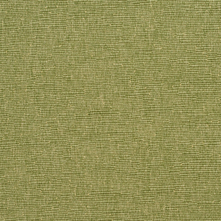 4410 Meadow by Charlotte Fabric Multipurpose Jacquards 59% Cotton, 41% Polyester Taiwan Exceeds 200,000 Wyzenbeek Rubs (Heavy Duty) No Repeat 54 Inches - Fabric Carolina -