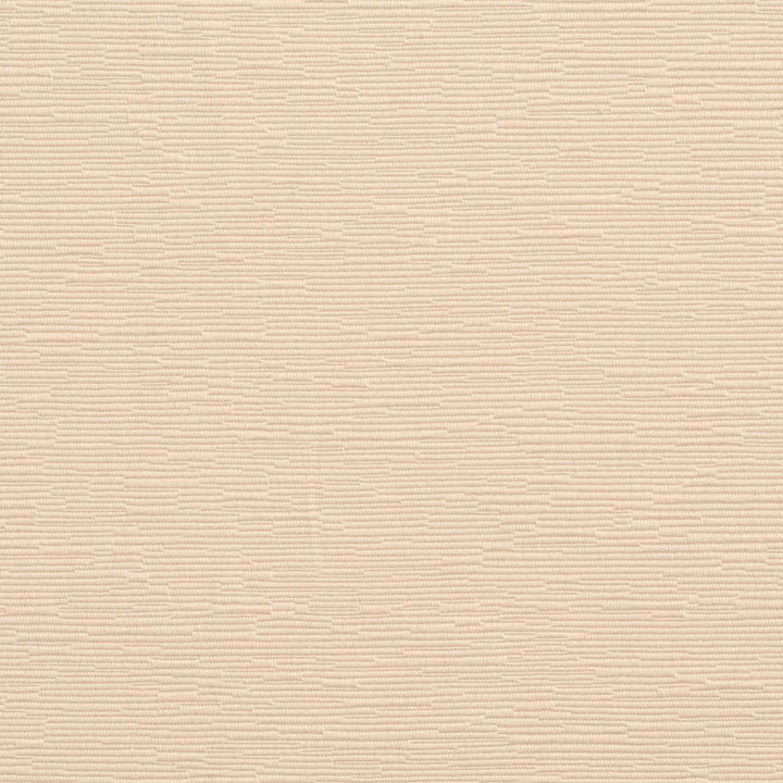 4413 Oyster by Charlotte Fabric Multipurpose Jacquards 59% Cotton, 41% Polyester Taiwan Exceeds 200,000 Wyzenbeek Rubs (Heavy Duty) No Repeat 54 Inches - Fabric Carolina -