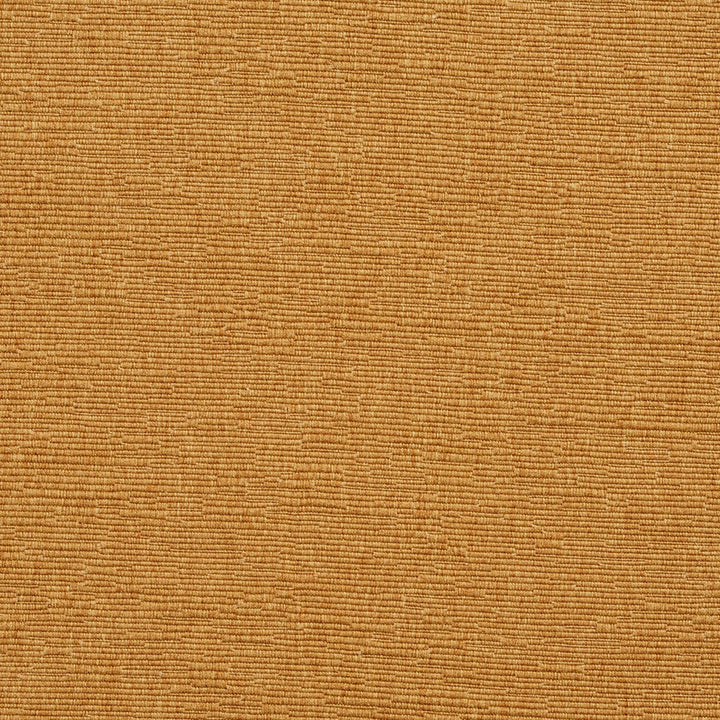 4419 Antique by Charlotte Fabric Multipurpose Jacquards 59% Cotton, 41% Polyester Taiwan Exceeds 60,000 Wyzenbeek Rubs (Heavy Duty) </p><p>Repeat: 54 Inches - Fabric Carolina -