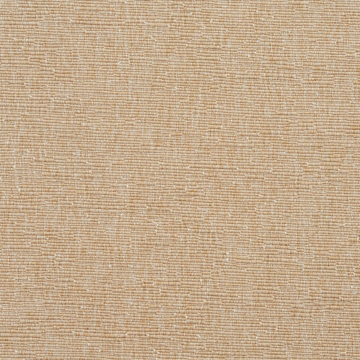 4421 Birch by Charlotte Fabric Multipurpose Jacquards 59% Cotton, 41% Polyester Taiwan Exceeds 200,000 Wyzenbeek Rubs (Heavy Duty) No Repeat 54 Inches - Fabric Carolina -