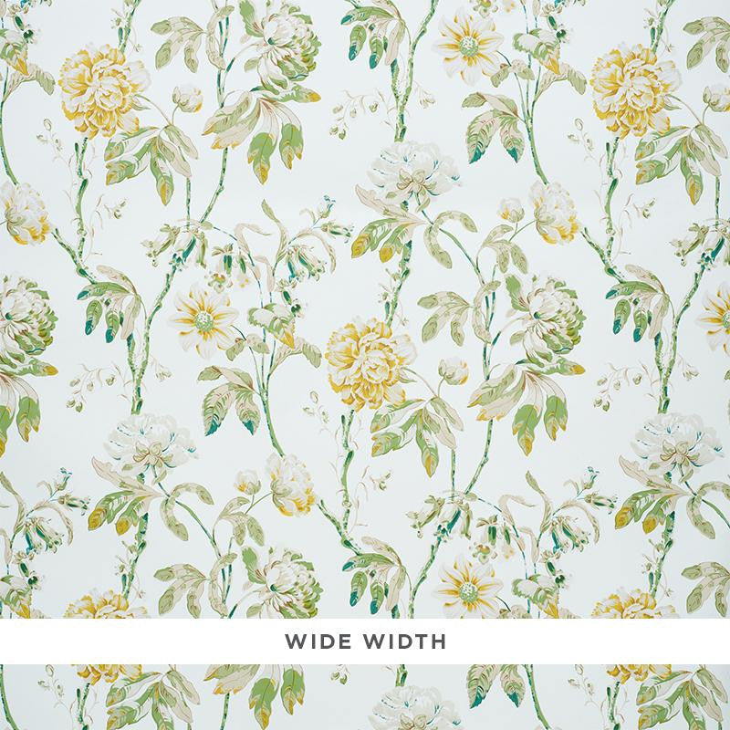 Daydream Citron 5011400 by Schumacher Wallpaper Signature Schumacher 18.25" - Fabric Carolina -