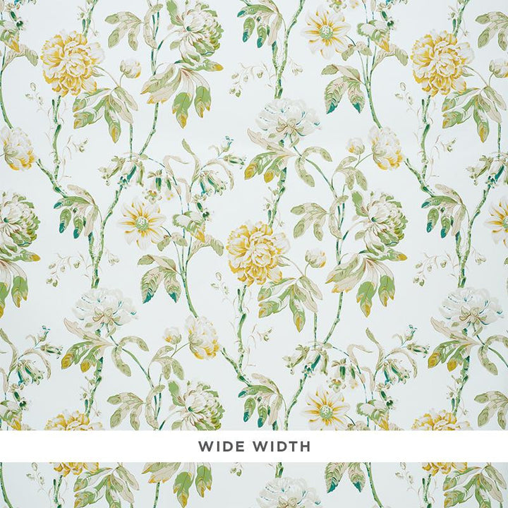 Daydream Citron 5011400 by Schumacher Wallpaper Signature Schumacher 18.25" - Fabric Carolina -