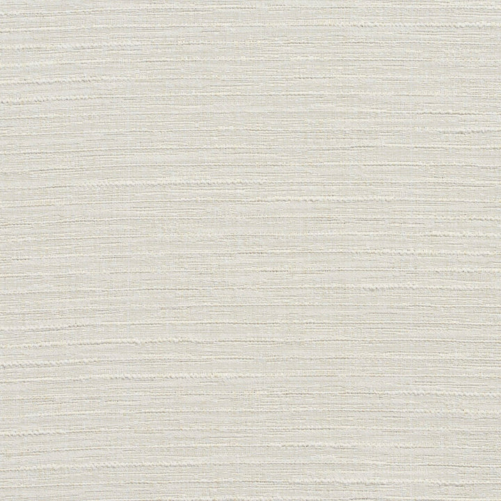 4439 Pearl by Charlotte Fabric Multipurpose Jacquards 59% Cotton, 41% Polyester Taiwan Exceeds 200,000 Wyzenbeek Rubs (Heavy Duty) No Repeat 54 Inches - Fabric Carolina -