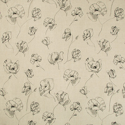 Field Notes Natural/Noir by Kravet Couture Fabric