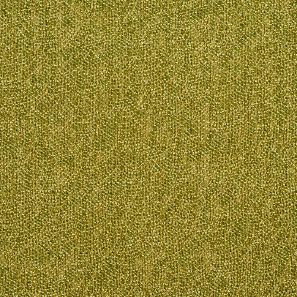 4447 Fern by Charlotte Fabric Multipurpose Jacquards 59% Cotton, 41% Polyester Taiwan Exceeds 200,000 Wyzenbeek Rubs (Heavy Duty) No Repeat 54 Inches - Fabric Carolina -