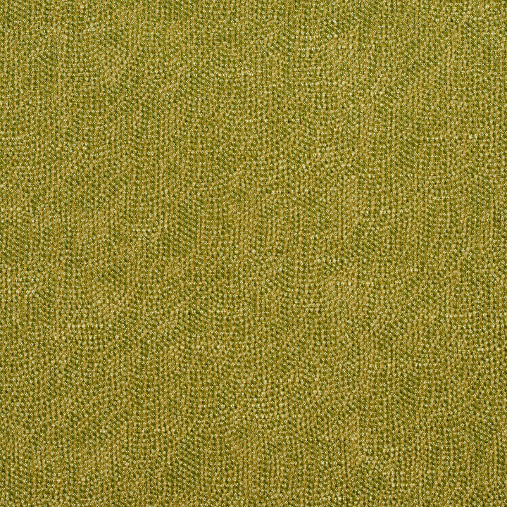 4447 Fern by Charlotte Fabric Multipurpose Jacquards 59% Cotton, 41% Polyester Taiwan Exceeds 50,000 Wyzenbeek Rubs (Heavy Duty) </p><p>Repeat: 54 Inches - Fabric Carolina -