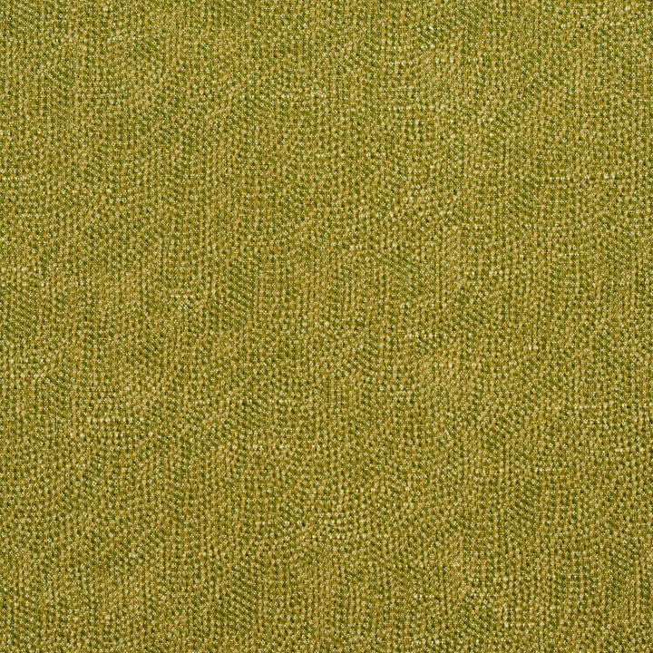 4447 Fern by Charlotte Designer Fabric Multipurpose Jacquards 59% Cotton, 41% Polyester Taiwan Exceeds 200,000 Wyzenbeek Rubs (Heavy Duty) No Repeat 54 Inches - Swanky Fabrics -