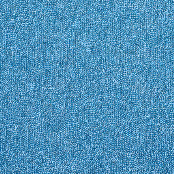4449 Sky by Charlotte Fabric Multipurpose Jacquards 59% Cotton, 41% Polyester Taiwan Exceeds 200,000 Wyzenbeek Rubs (Heavy Duty) No Repeat 54 Inches - Fabric Carolina -