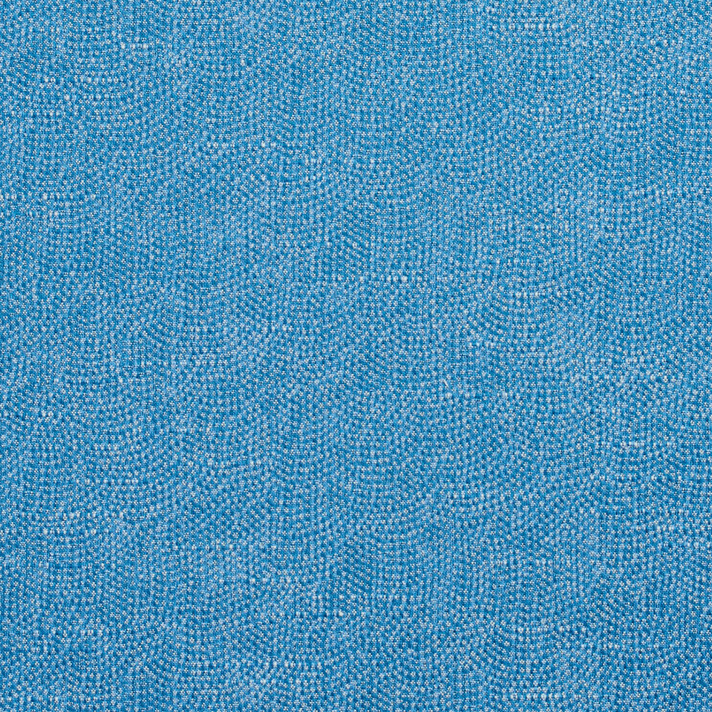 4449 Sky by Charlotte Fabric Multipurpose Jacquards 59% Cotton, 41% Polyester Taiwan Exceeds 200,000 Wyzenbeek Rubs (Heavy Duty) No Repeat 54 Inches - Fabric Carolina -