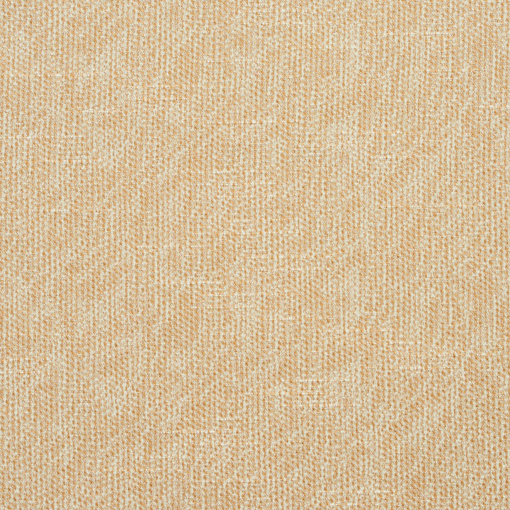 4450 Wheat by Charlotte Fabric Multipurpose Jacquards 59% Cotton, 41% Polyester Taiwan Exceeds 200,000 Wyzenbeek Rubs (Heavy Duty) No Repeat 54 Inches - Fabric Carolina -