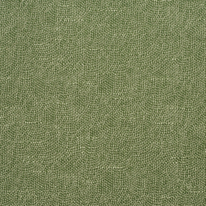 4453 Basil by Charlotte Fabric Multipurpose Jacquards 59% Cotton, 41% Polyester Taiwan Exceeds 200,000 Wyzenbeek Rubs (Heavy Duty) No Repeat 54 Inches - Fabric Carolina -