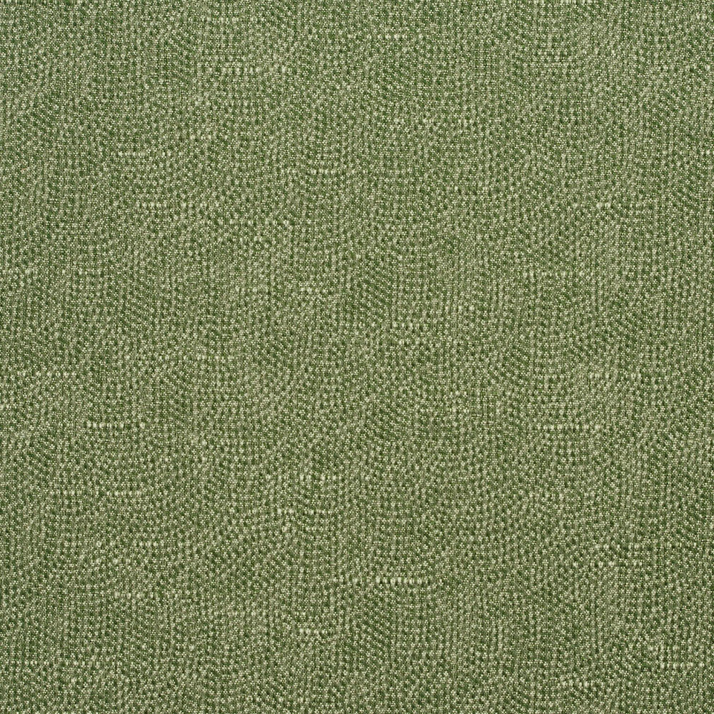 4453 Basil by Charlotte Fabric Multipurpose Jacquards 59% Cotton, 41% Polyester Taiwan Exceeds 200,000 Wyzenbeek Rubs (Heavy Duty) No Repeat 54 Inches - Fabric Carolina -