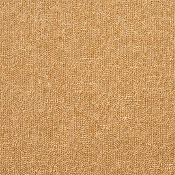 4454 Camel by Charlotte Fabric Multipurpose Jacquards 59% Cotton, 41% Polyester Taiwan Exceeds 200,000 Wyzenbeek Rubs (Heavy Duty) No Repeat 54 Inches - Fabric Carolina -