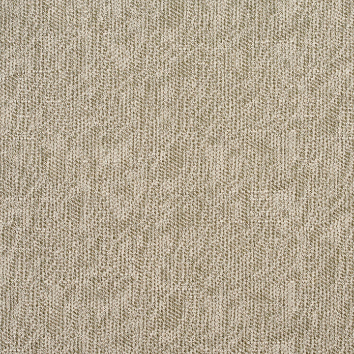 4456 Truffle by Charlotte Fabric Multipurpose Jacquards 59% Cotton, 41% Polyester Taiwan Exceeds 50,000 Wyzenbeek Rubs (Heavy Duty) </p><p>Repeat: No Repeat 54 Inches - Fabric Carolina -