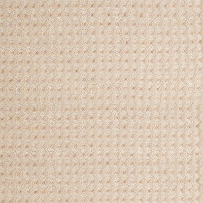 Sculptural Blush by Kravet Couture Fabric