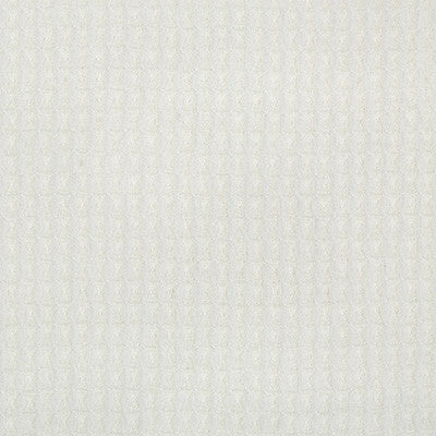 Sculptural Ivory by Kravet Couture Fabric