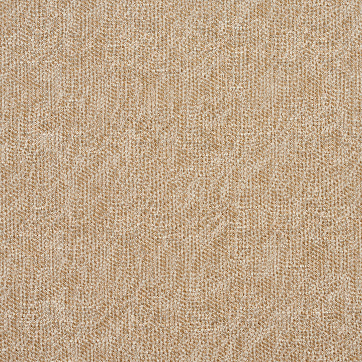 4457 Buff by Charlotte Fabric Multipurpose Jacquards 59% Cotton, 41% Polyester Taiwan Exceeds 200,000 Wyzenbeek Rubs (Heavy Duty) No Repeat 54 Inches - Fabric Carolina -