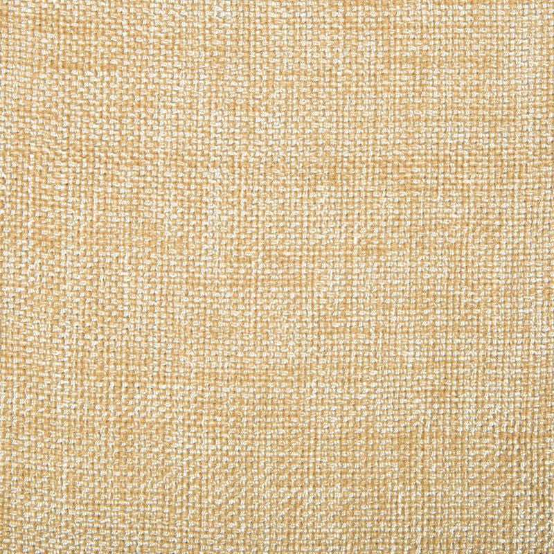 4458.1116 by Kravet Contract Designer Fabric our website for purchase Polyester 100% China Heavy Horizontal: see sample and Vertical: see sample 54 inches - Swanky Fabrics -