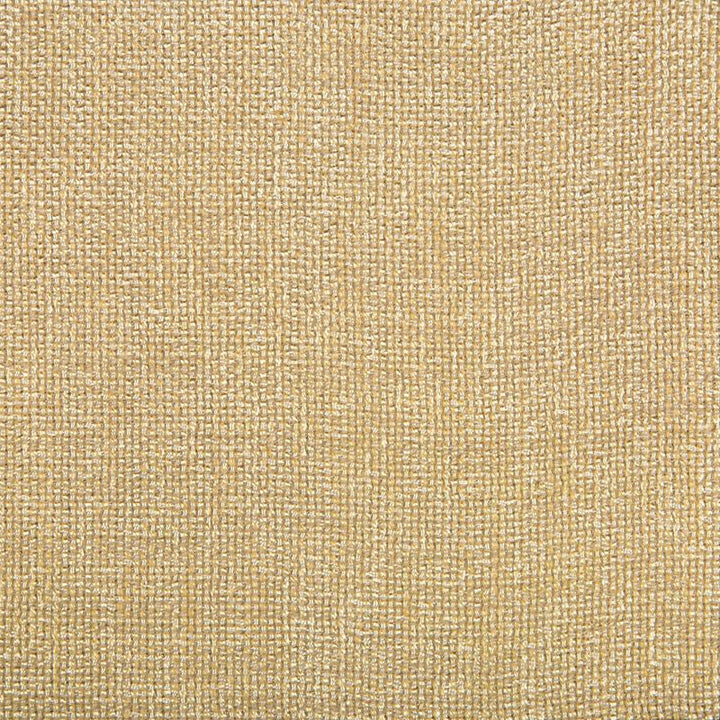 4458.16 by Kravet Contract Designer Fabric our website for purchase Polyester 100% China Heavy Horizontal: see sample and Vertical: see sample 54 inches - Swanky Fabrics -