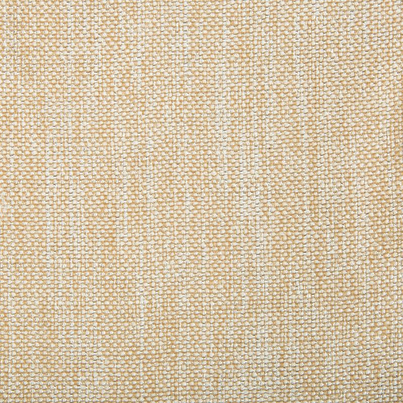4458.1601 by Kravet Contract Designer Fabric our website for purchase Polyester 100% China Heavy Horizontal: see sample and Vertical: see sample 54 inches - Swanky Fabrics -
