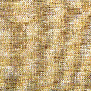 Kravet Contract 4458-414 by Kravet Contract Fabric