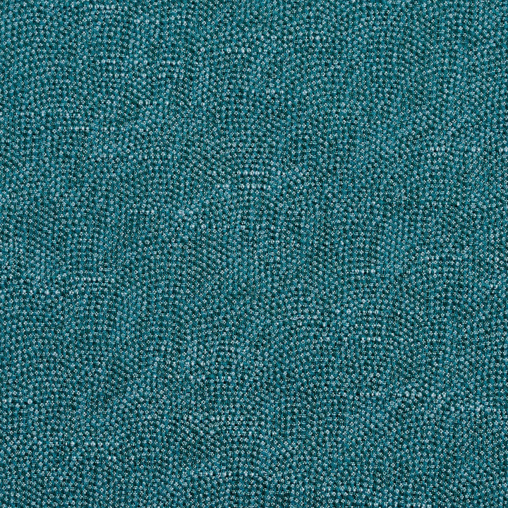 4458 Viridian by Charlotte Fabric Multipurpose Jacquards 59% Cotton, 41% Polyester Taiwan Exceeds 200,000 Wyzenbeek Rubs (Heavy Duty) No Repeat 54 Inches - Fabric Carolina -