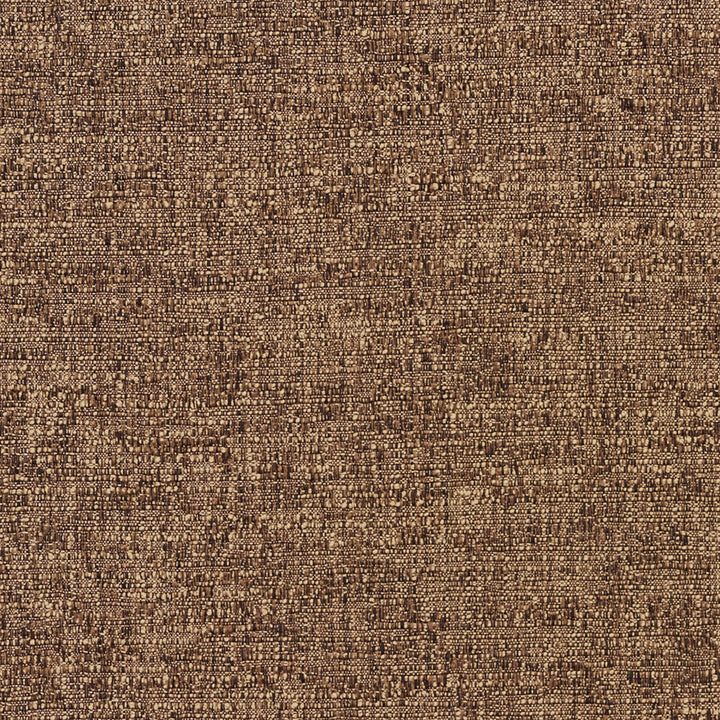 4459 Latte by Charlotte Fabric Multipurpose Jacquards 59% Cotton, 41% Polyester Taiwan Exceeds 200,000 Wyzenbeek Rubs (Heavy Duty) No Repeat 54 Inches - Fabric Carolina -