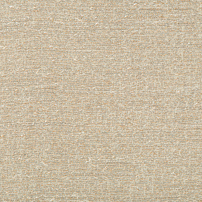 Balmy Quartz by Kravet Couture Fabric