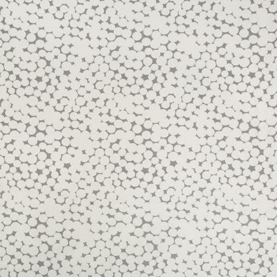 Olivos Gris by Kravet Couture Fabric
