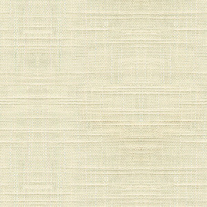 Kravet Basics 4489-101 by Kravet Basics Fabric