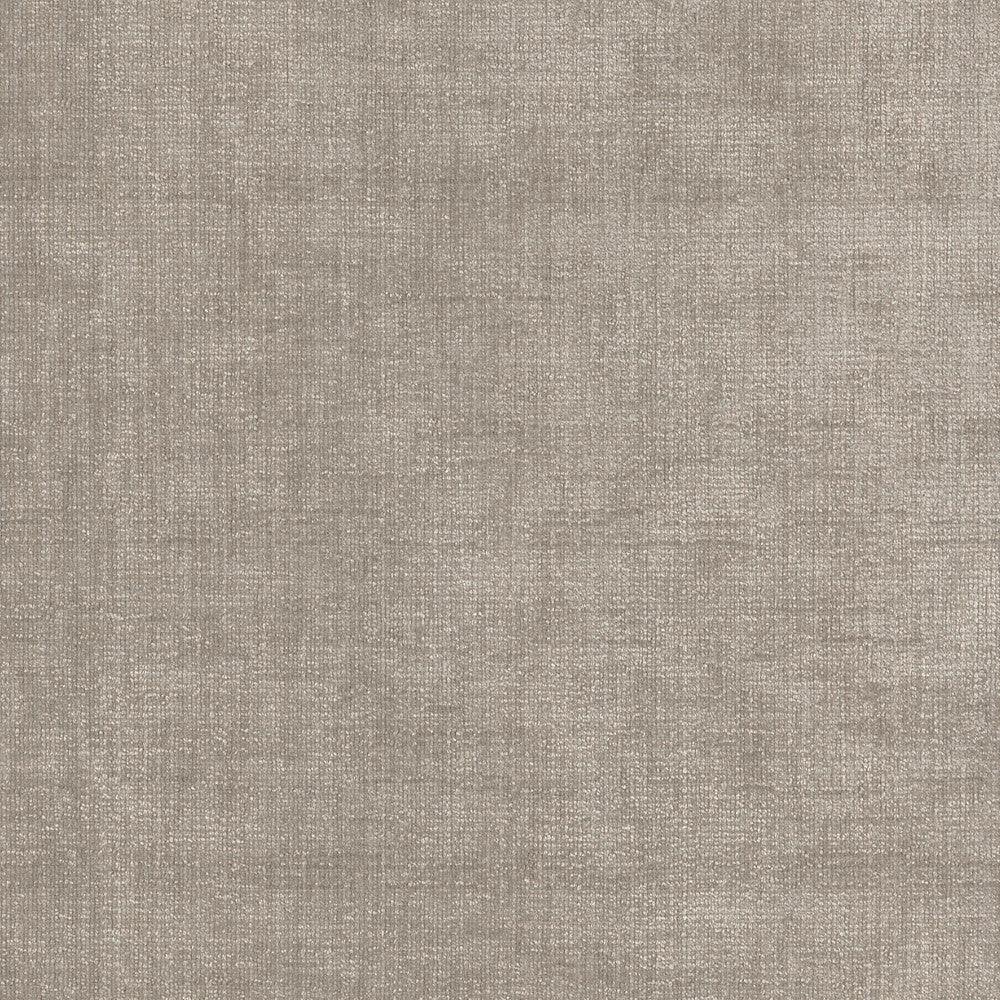 BEST FRIEND STEAM 450020 by Genevieve Gorder Fabric - 75% COTTON 25% POLYESTER India 51000 Horizontal: 0 and Vertical: 0 55 - Fabric Carolina -