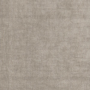 Best Friend Steam 450020 by Genevieve Gorder Fabric
