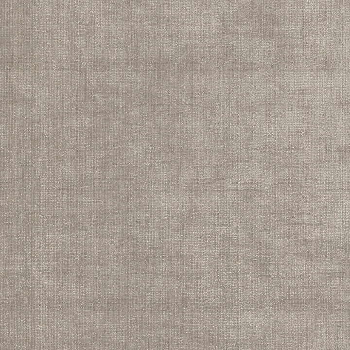 Best Friend Steam 450020 by Genevieve Gorder Fabric - 100% Polyester INDIA 51000 Horizontal: 0 and Vertical: 0 55 - Fabric Carolina -