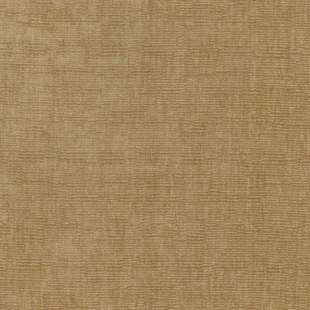 Best Friend Resin Glow 450024 by Genevieve Gorder Fabric - 100% Polyester India 51000 Horizontal: 0 and Vertical: 0 55 - Fabric Carolina -