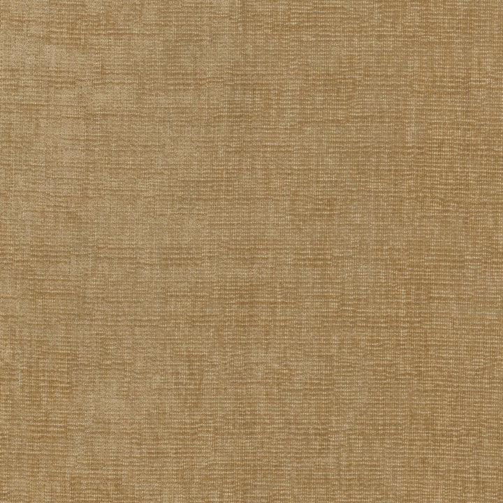 Best Friend Resin Glow 450024 by Genevieve Gorder Fabric - 100% Polyester India 51000 Horizontal: 0 and Vertical: 0 55 - Fabric Carolina -
